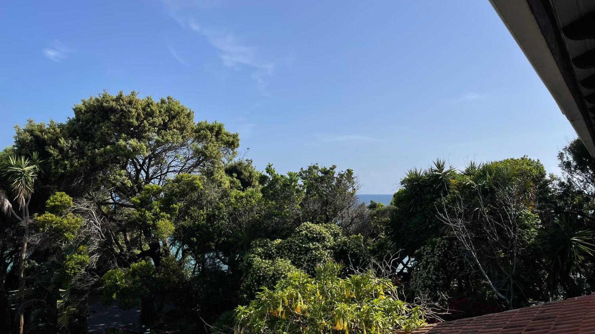 Ferienwohnung Alonaki Bay Halikounas Exterior foto